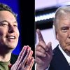 Elon Musk regala un milione di dollari (a testa) per votare Trump