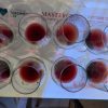 Gamay Grenache del Trasimeno: proviamo i vini speciali