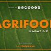 Agrifood Magazine – 6/11/2024 – Tiscali FoodCulture