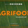 Agrifood Magazine – 27/11/2024 – Tiscali FoodCulture