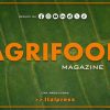 Agrifood Magazine – 13/11/2024 – Tiscali FoodCulture